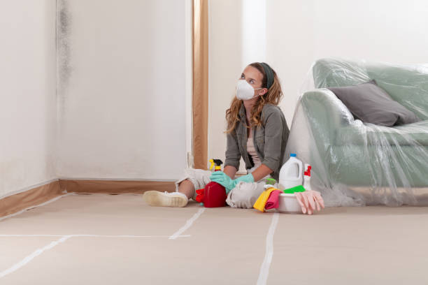 Reliable Mold Removal contractor in Norristown, PA by WQB Mold Removal